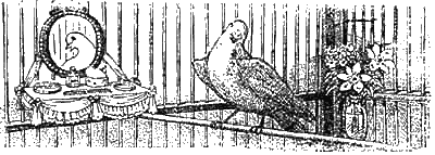 Иллюстрация к книге — Доктор Айболит [g63.jpg]