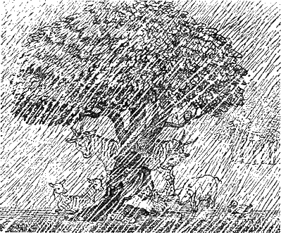 Иллюстрация к книге — Доктор Айболит [g71.jpg]