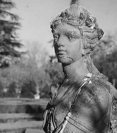 Иллюстрация к книге — Волшебное лето во Франции. Замки, фиалки и вишневый пирог [i_023.jpg]