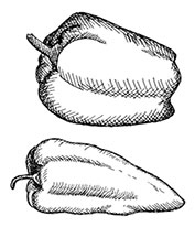 Иллюстрация к книге — Волшебное лето во Франции. Замки, фиалки и вишневый пирог [i_041.jpg]