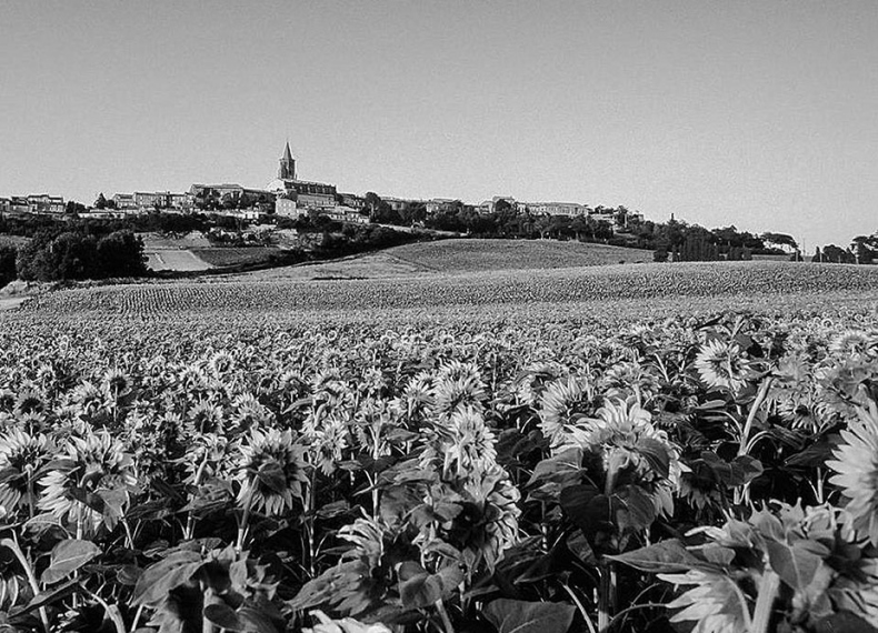 Иллюстрация к книге — Волшебное лето во Франции. Замки, фиалки и вишневый пирог [i_057.jpg]