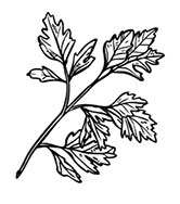 Иллюстрация к книге — Волшебное лето во Франции. Замки, фиалки и вишневый пирог [i_065.jpg]