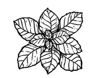 Иллюстрация к книге — Волшебное лето во Франции. Замки, фиалки и вишневый пирог [i_077.jpg]