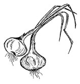 Иллюстрация к книге — Волшебное лето во Франции. Замки, фиалки и вишневый пирог [i_082.jpg]