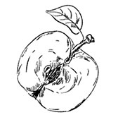 Иллюстрация к книге — Волшебное лето во Франции. Замки, фиалки и вишневый пирог [i_103.jpg]