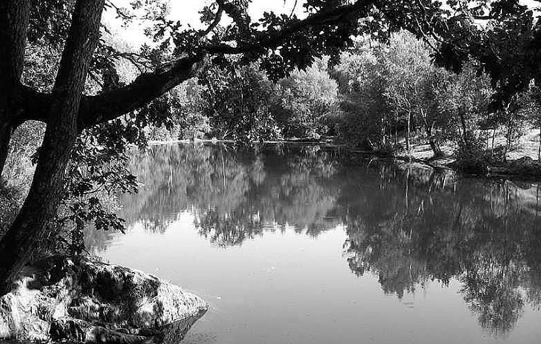 Иллюстрация к книге — Волшебное лето во Франции. Замки, фиалки и вишневый пирог [i_111.jpg]