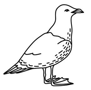 Иллюстрация к книге — Волшебное лето во Франции. Замки, фиалки и вишневый пирог [i_125.jpg]