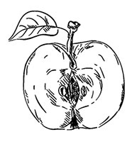 Иллюстрация к книге — Волшебное лето во Франции. Замки, фиалки и вишневый пирог [i_140.jpg]