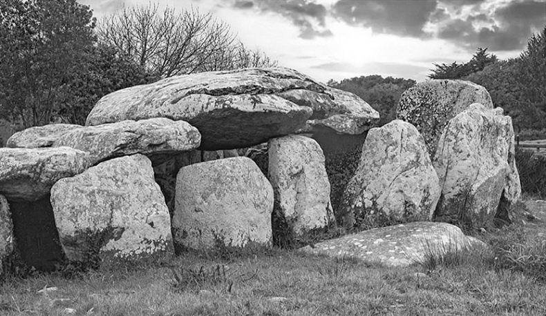 Иллюстрация к книге — Волшебное лето во Франции. Замки, фиалки и вишневый пирог [i_155.jpg]