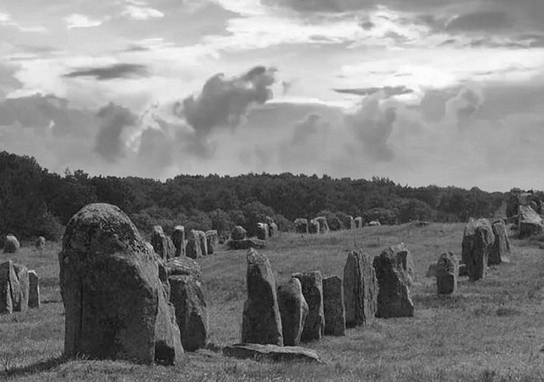 Иллюстрация к книге — Волшебное лето во Франции. Замки, фиалки и вишневый пирог [i_181.jpg]