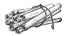 Иллюстрация к книге — Волшебное лето во Франции. Замки, фиалки и вишневый пирог [i_197.jpg]