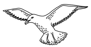 Иллюстрация к книге — Волшебное лето во Франции. Замки, фиалки и вишневый пирог [i_203.jpg]