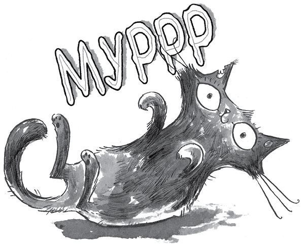 Иллюстрация к книге — Куда пропал амулет? [i_010.jpg]