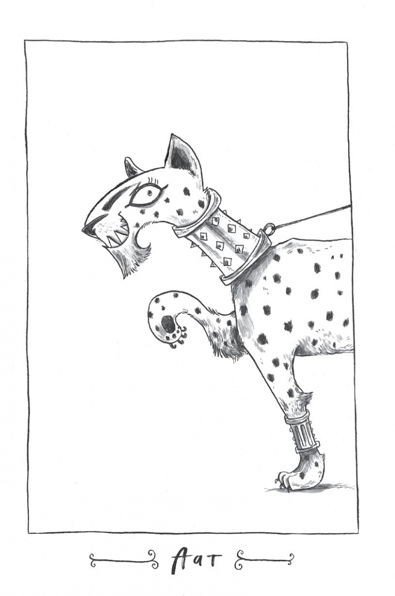 Иллюстрация к книге — Куда пропал амулет? [i_016.jpg]