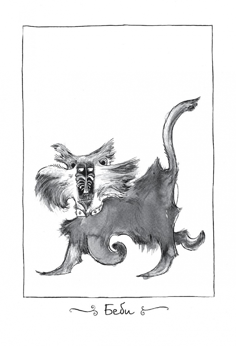 Иллюстрация к книге — Куда пропал амулет? [i_019.jpg]