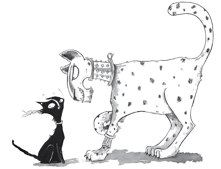 Иллюстрация к книге — Куда пропал амулет? [i_023.jpg]