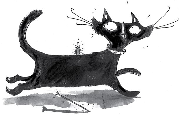 Иллюстрация к книге — Куда пропал амулет? [i_031.jpg]