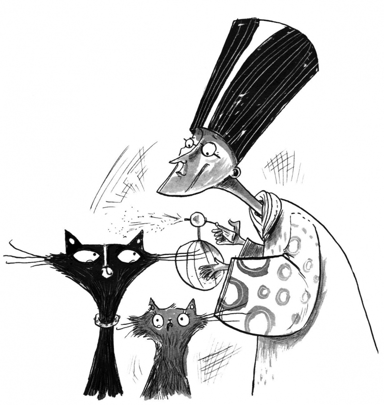 Иллюстрация к книге — Секрет гробницы фараона [i_003.jpg]