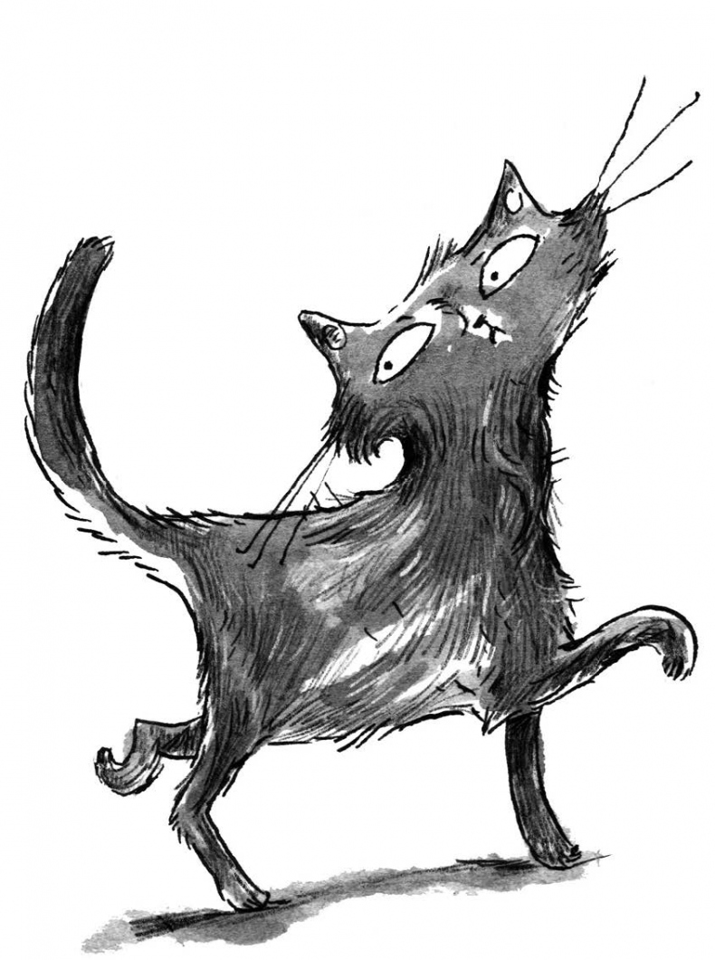 Иллюстрация к книге — Секрет гробницы фараона [i_018.jpg]