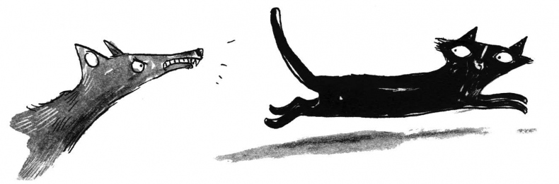 Иллюстрация к книге — Секрет гробницы фараона [i_032.jpg]