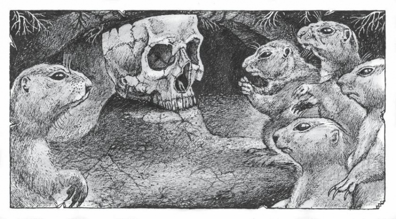 Иллюстрация к книге — Призрак в лунном свете [i_009.jpg]