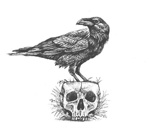 Иллюстрация к книге — Призрак в лунном свете [i_019.jpg]