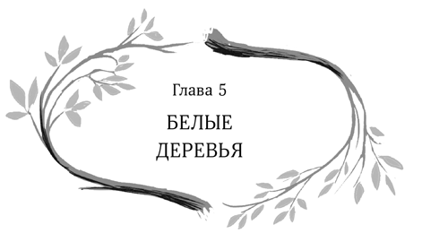 Иллюстрация к книге — Девочка в деревянных доспехах [i_006.jpg]
