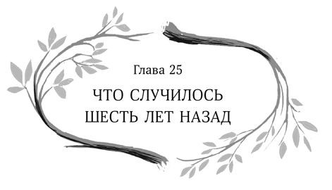 Иллюстрация к книге — Девочка в деревянных доспехах [i_026.jpg]