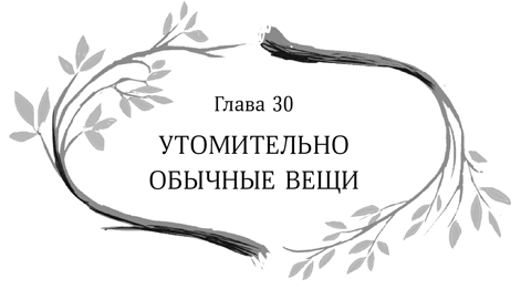 Иллюстрация к книге — Девочка в деревянных доспехах [i_031.jpg]