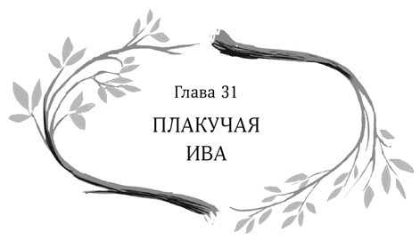 Иллюстрация к книге — Девочка в деревянных доспехах [i_032.jpg]