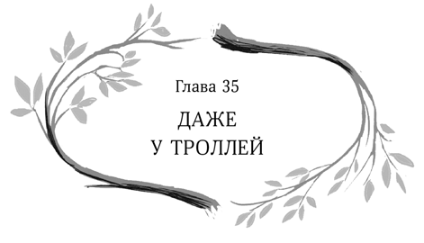 Иллюстрация к книге — Девочка в деревянных доспехах [i_036.jpg]