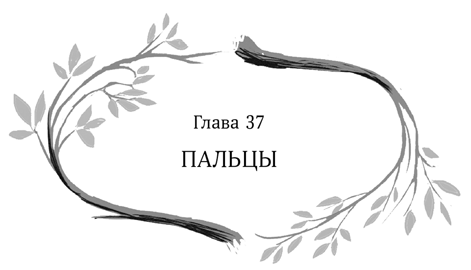 Иллюстрация к книге — Девочка в деревянных доспехах [i_038.jpg]