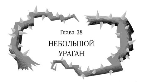 Иллюстрация к книге — Девочка в деревянных доспехах [i_039.jpg]