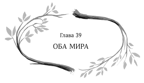 Иллюстрация к книге — Девочка в деревянных доспехах [i_040.jpg]