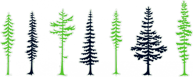 Иллюстрация к книге — Уоррен XIII и Шепчущий лес [i_040.jpg]