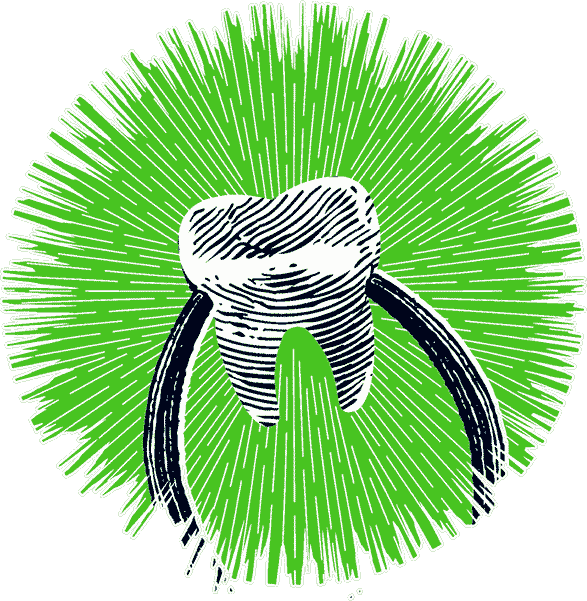 Иллюстрация к книге — Уоррен XIII и Шепчущий лес [i_045.jpg]