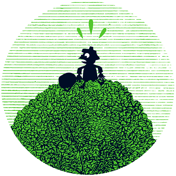 Иллюстрация к книге — Уоррен XIII и Шепчущий лес [i_085.jpg]