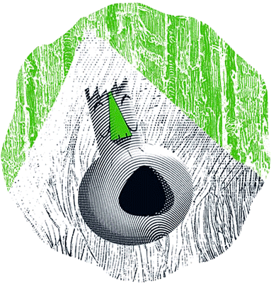 Иллюстрация к книге — Уоррен XIII и Шепчущий лес [i_135.jpg]