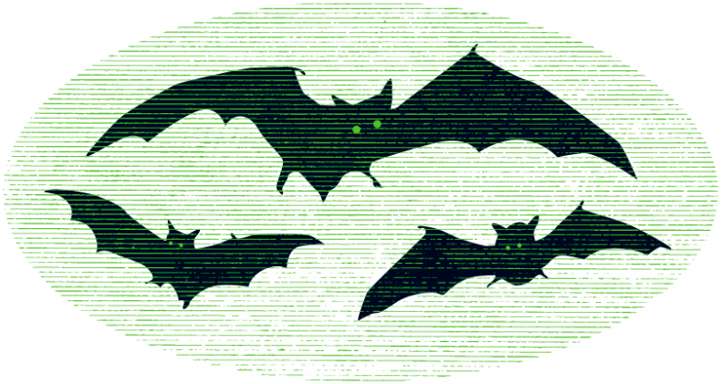 Иллюстрация к книге — Уоррен XIII и Шепчущий лес [i_146.jpg]