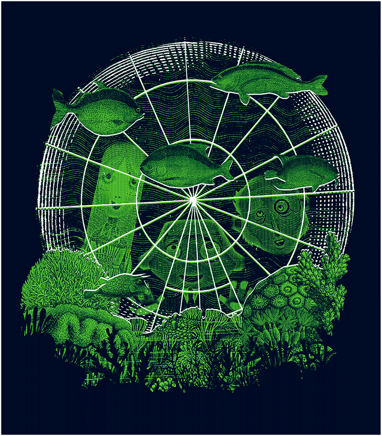 Иллюстрация к книге — Уоррен XIII и Шепчущий лес [i_207.jpg]