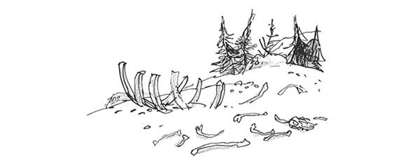 Иллюстрация к книге — Мальчик. Рассказы о детстве [i_031.jpg]