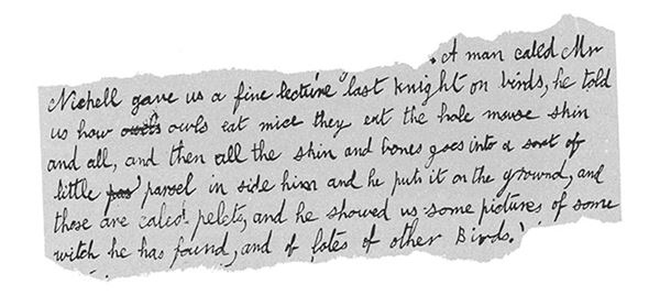 Иллюстрация к книге — Мальчик. Рассказы о детстве [i_043.jpg]