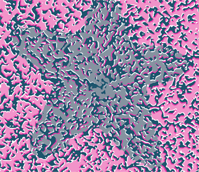 Иллюстрация к книге — Анатомия заблуждений. Большая книга по критическому мышлению [i_045.jpg]