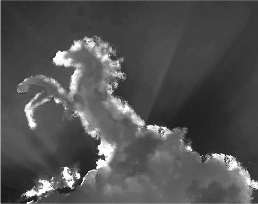 Иллюстрация к книге — Анатомия заблуждений. Большая книга по критическому мышлению [i_048.jpg]