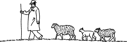 Иллюстрация к книге — Анатомия заблуждений. Большая книга по критическому мышлению [i_073.jpg]