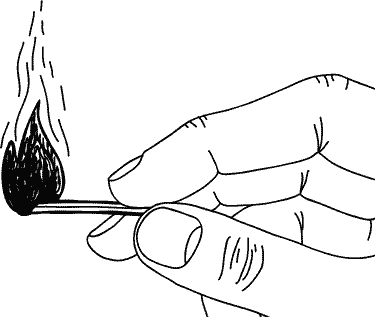 Иллюстрация к книге — Анатомия заблуждений. Большая книга по критическому мышлению [i_135.jpg]