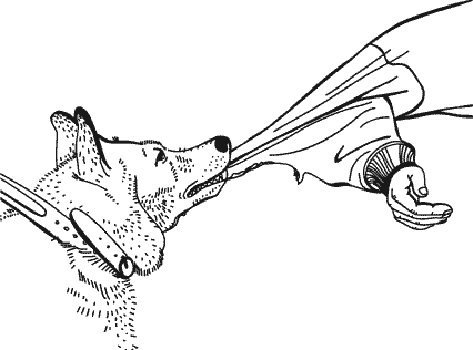 Иллюстрация к книге — Анатомия заблуждений. Большая книга по критическому мышлению [i_174.jpg]