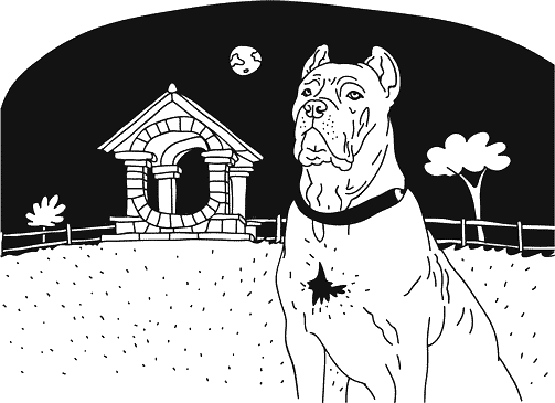 Иллюстрация к книге — Анатомия заблуждений. Большая книга по критическому мышлению [i_190.jpg]