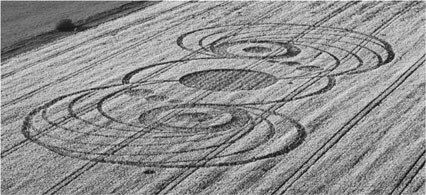 Иллюстрация к книге — Анатомия заблуждений. Большая книга по критическому мышлению [i_280.jpg]