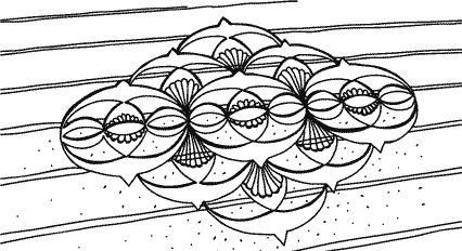 Иллюстрация к книге — Анатомия заблуждений. Большая книга по критическому мышлению [i_281.jpg]